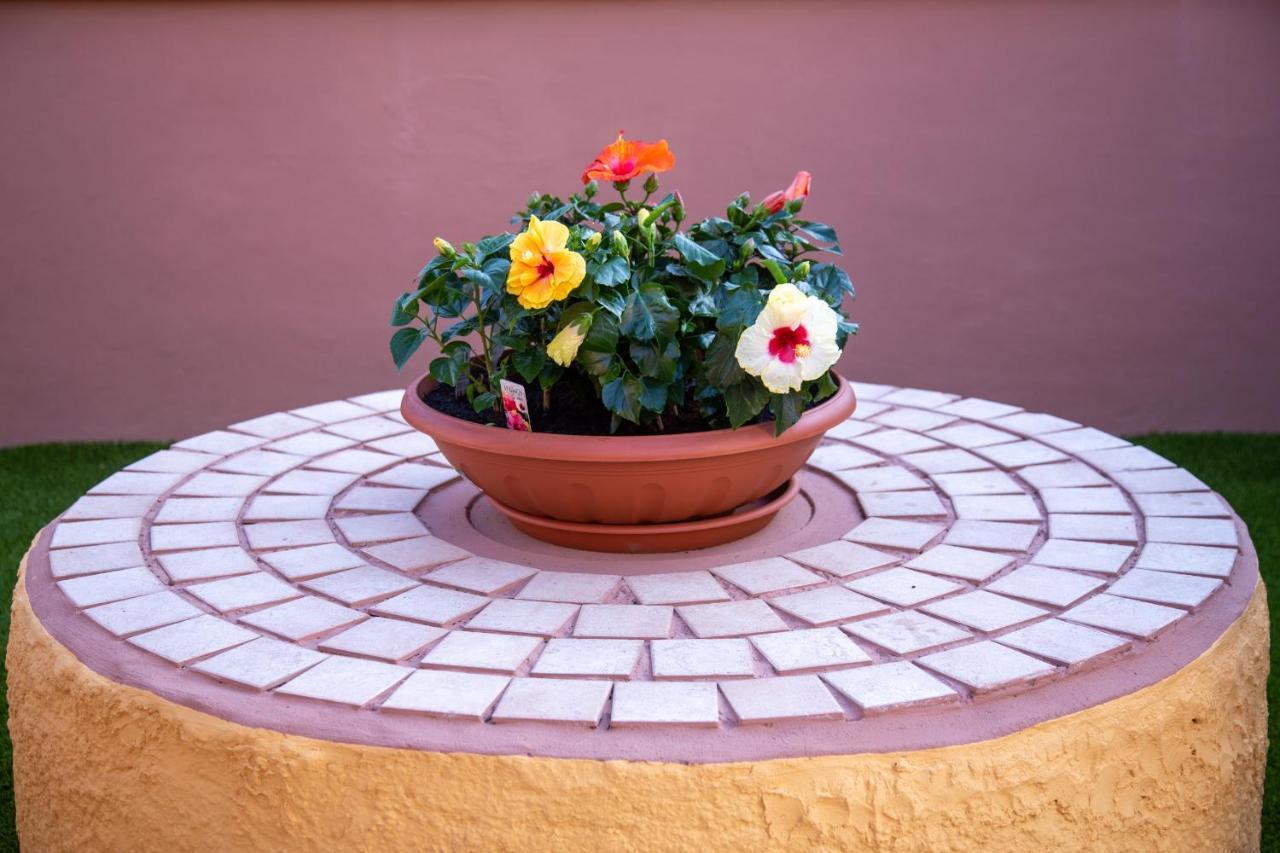 Appartement Il Rustichello à Pise Extérieur photo