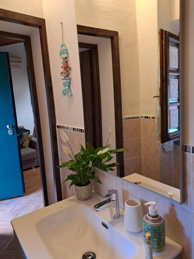 Appartement Il Rustichello à Pise Extérieur photo